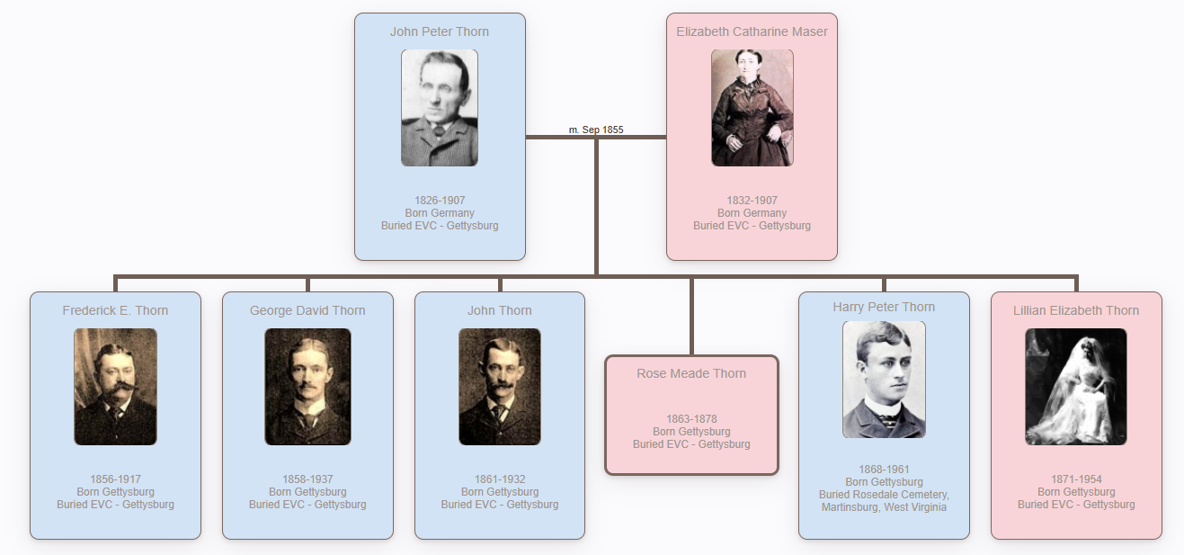 Thorn’s Family Tree – Gettysburg Chronicles